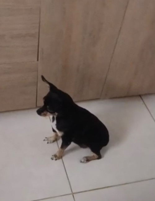 Zimba