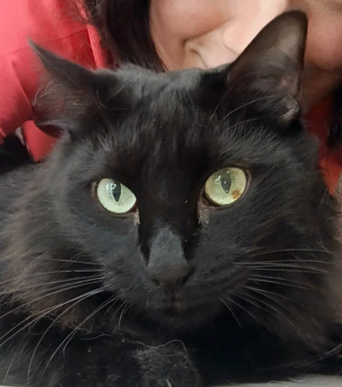 Salem