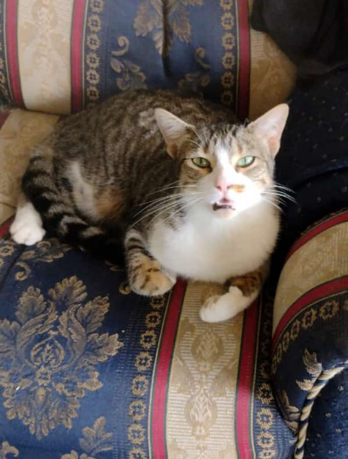 Luna Y Pola