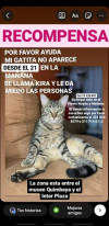 Foto de Kira en Armenia Quindío #0