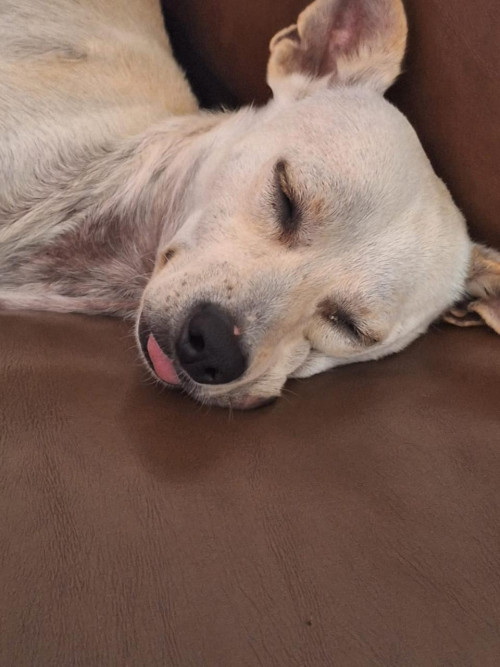 Ojitos