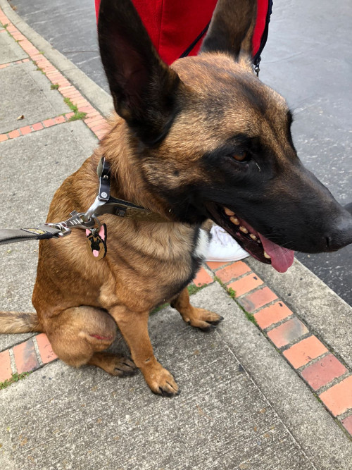 Max