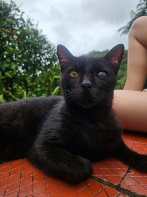 Salem