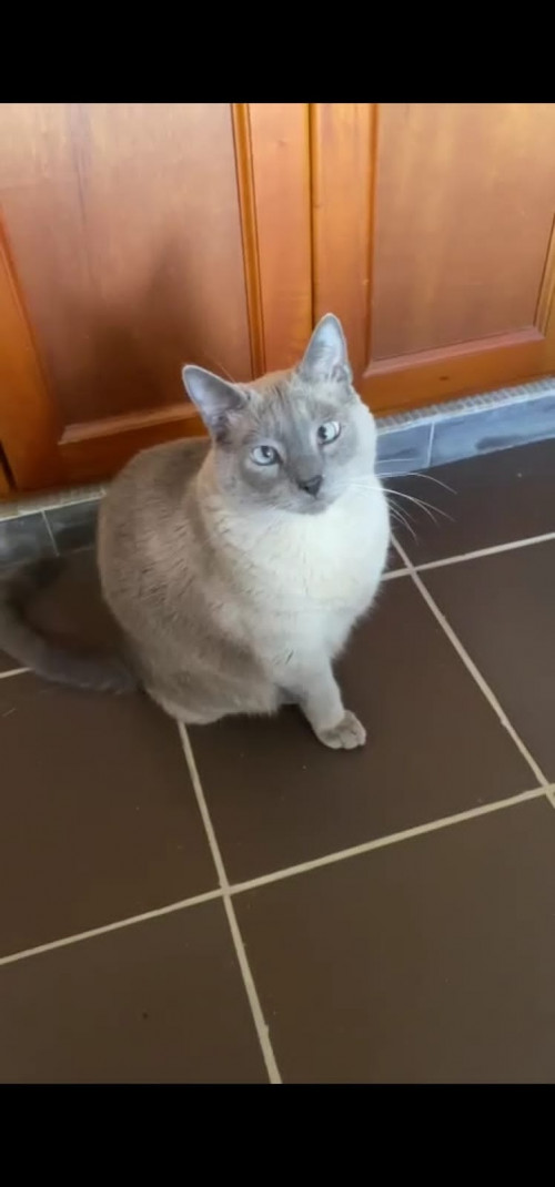 Olaf