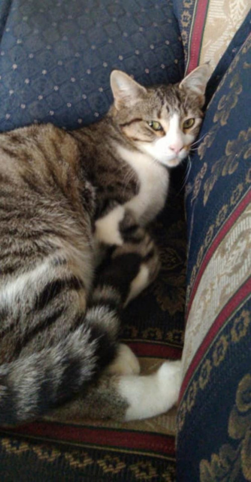 Luna Y Pola