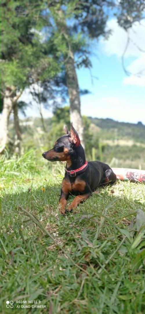 Teo