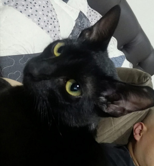 Luna