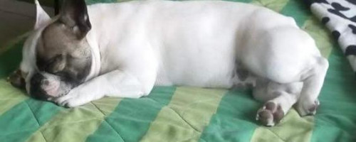 Samantha