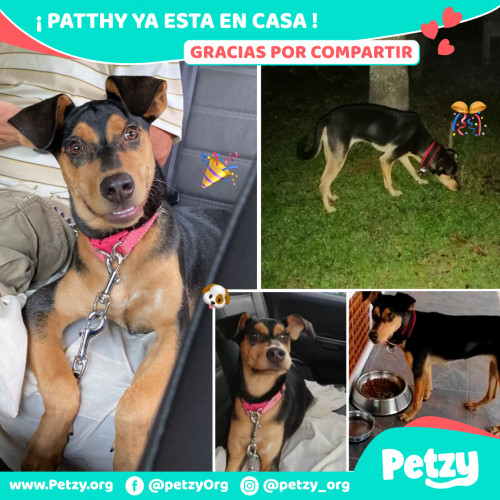 Foto de mascota Patthy
