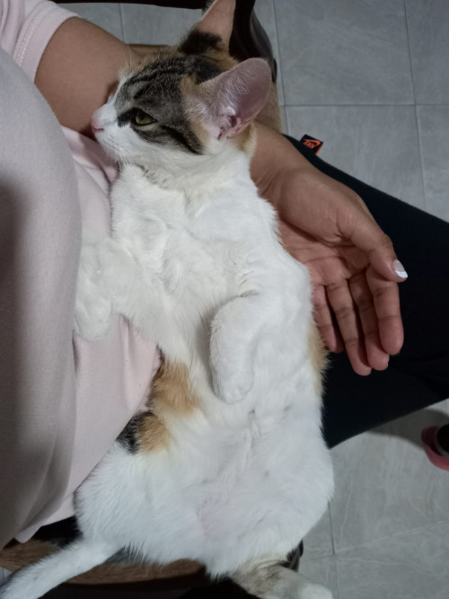 Cloe