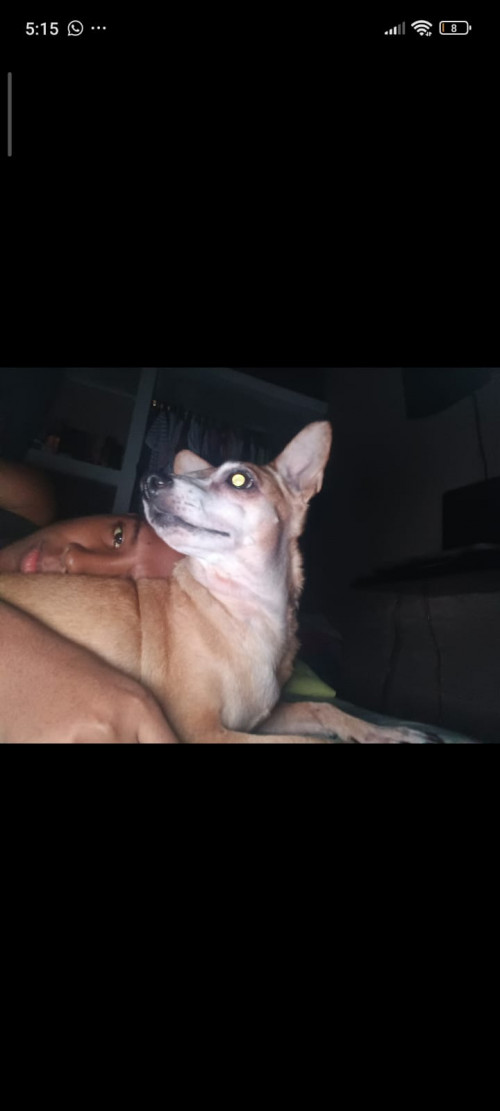 Ami