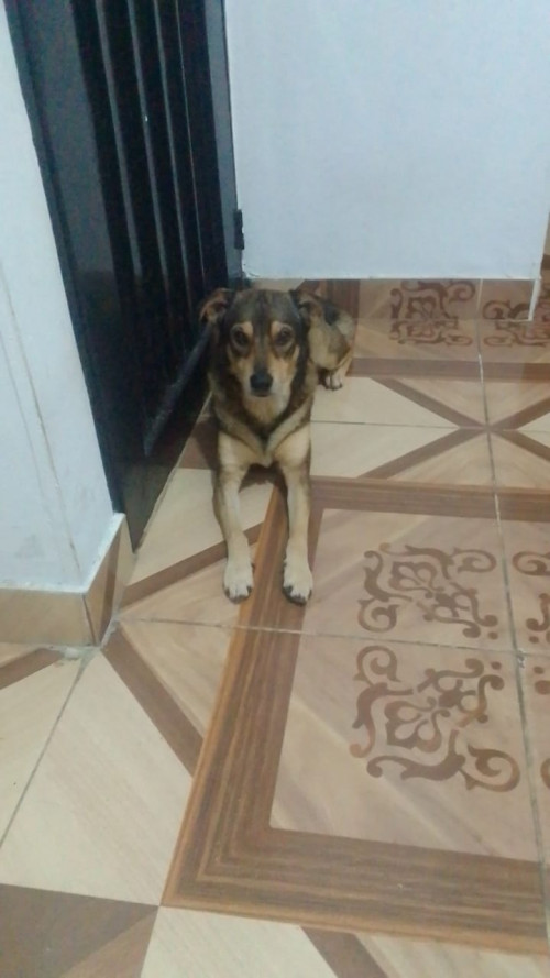 Niño