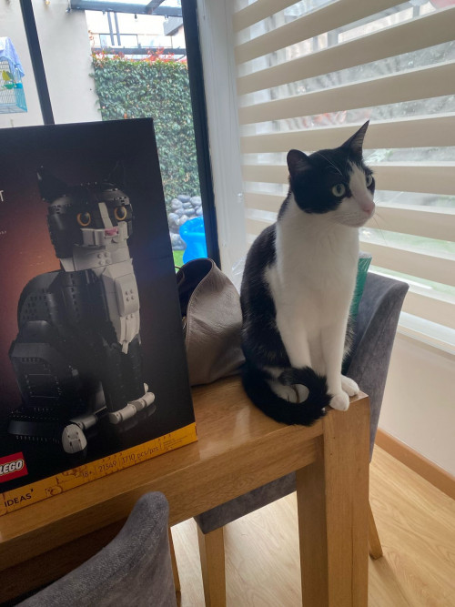 Tito