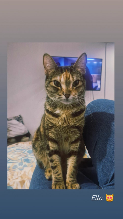 Kiara