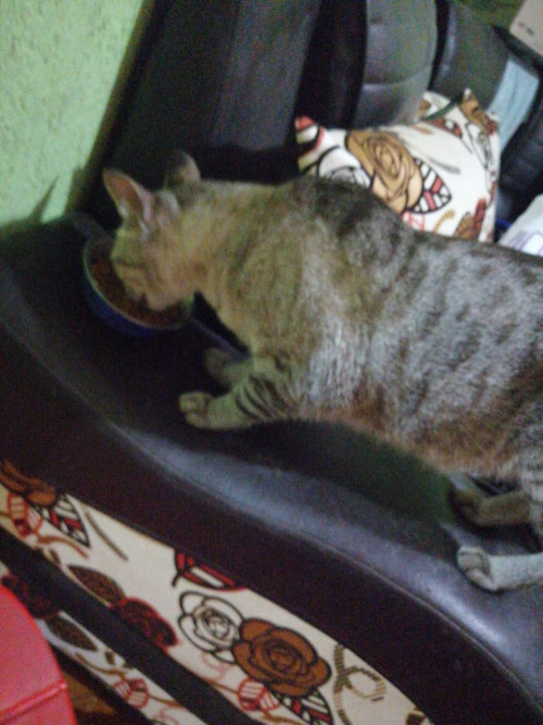 Chiky