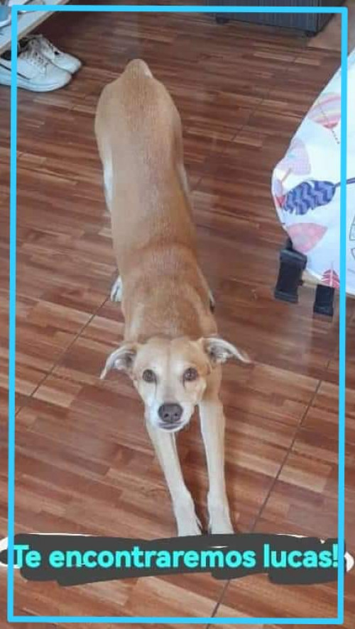 Lucas