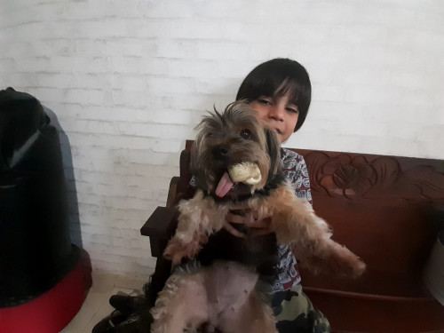 Mocca
