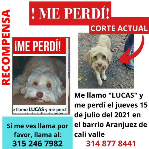Lucas