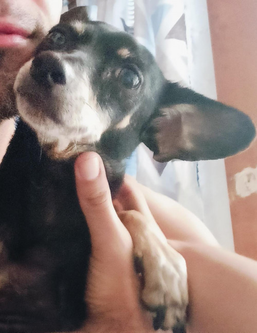 Juanita