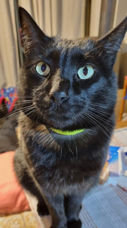 Jack