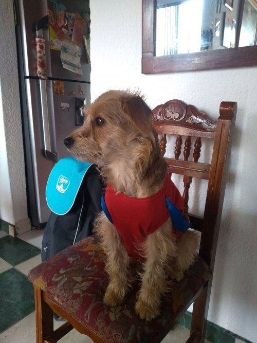 Teo