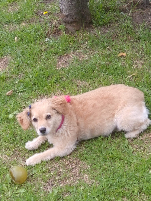 Susy