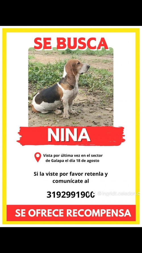 Nina