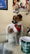 Foto de Tokio en Cali Valle del Cauca #7