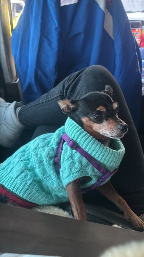 Juanita