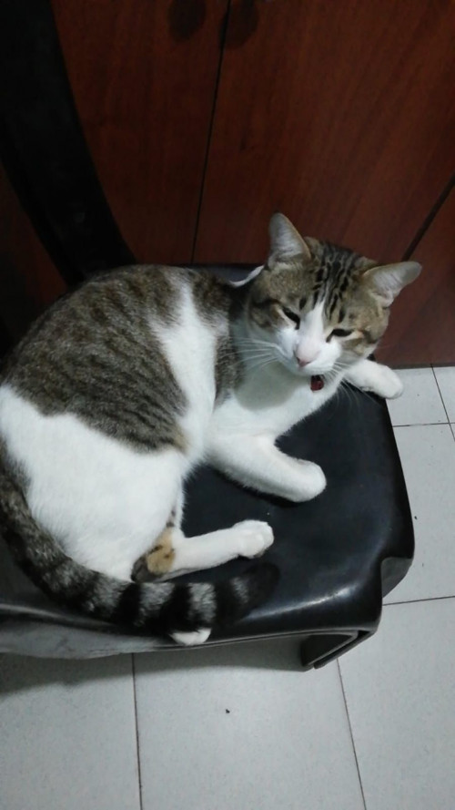 Ares