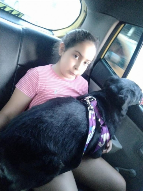 Niña