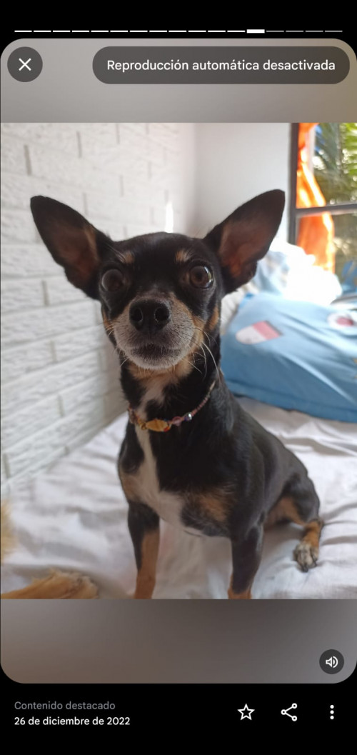 Betty