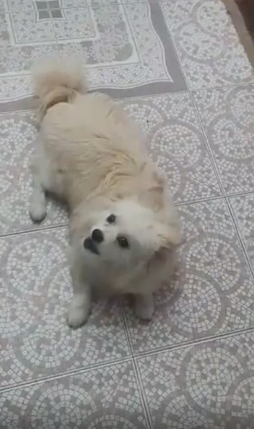 Max