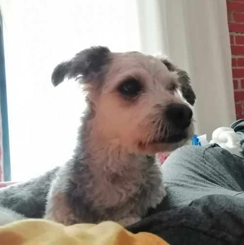 Teo