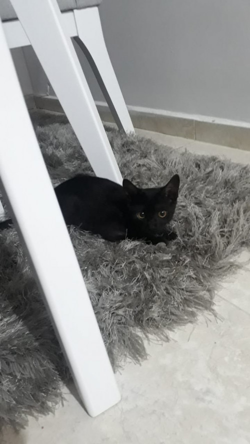 Max