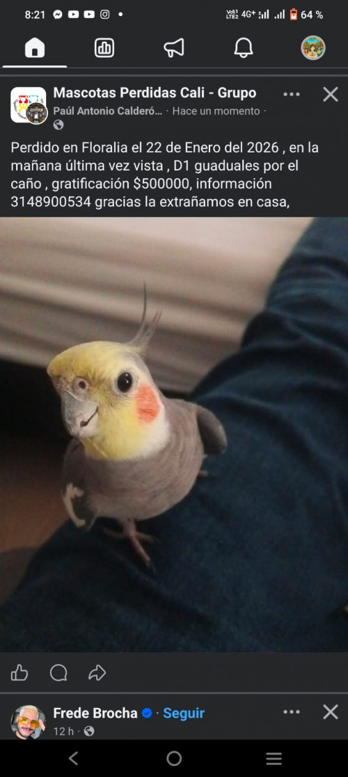 Juan