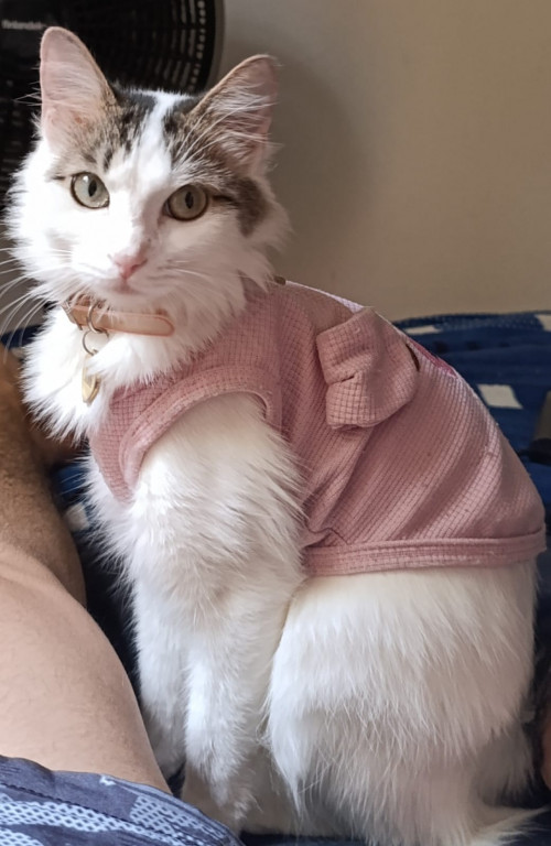 Mizu