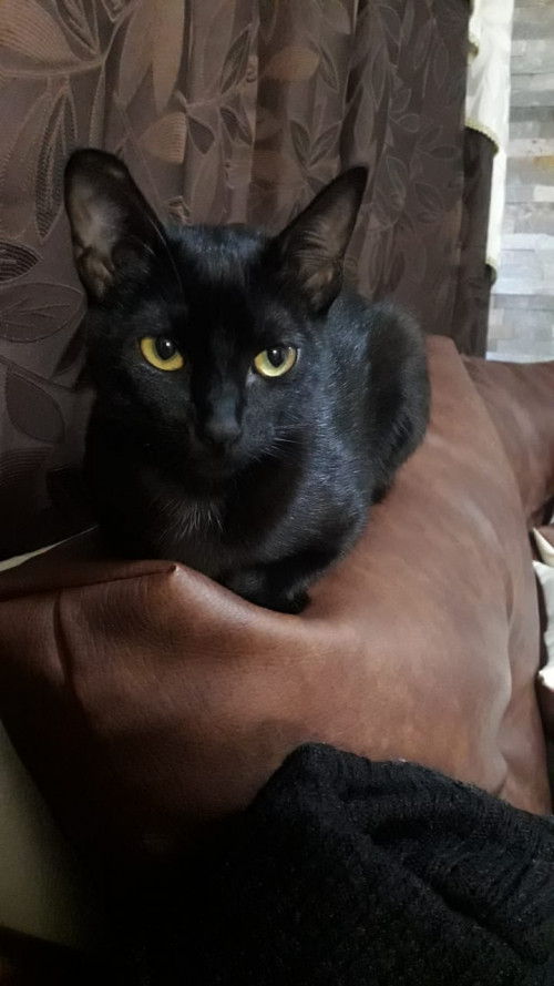 Luna