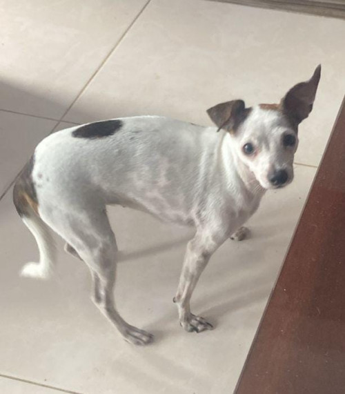 Lupita