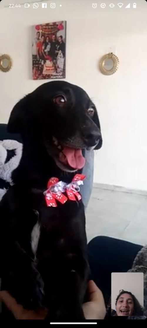 Negra