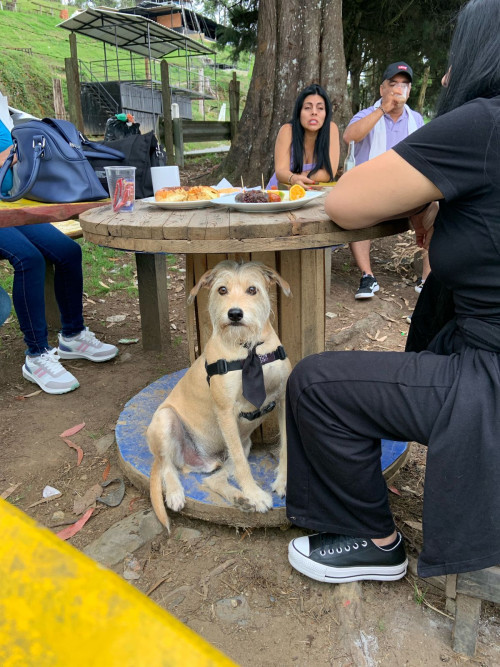 Tayson