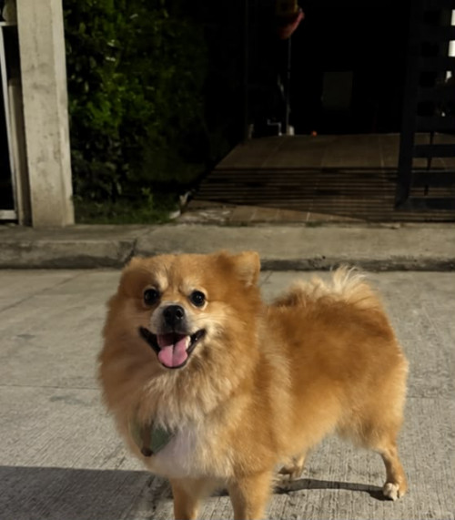 Milo