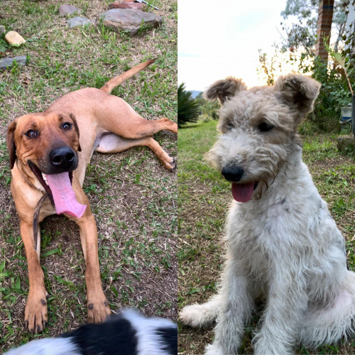 Nara Y Max