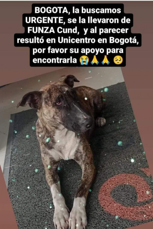 Kira O Manchas
