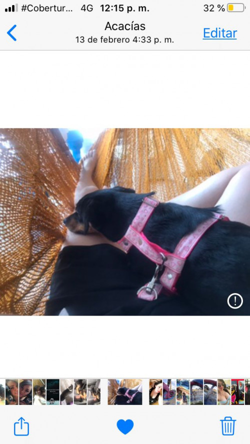 Maggy
