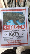 Foto de Katy en Ibagué Tolima #1