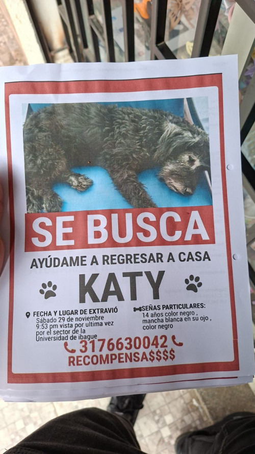 Katy
