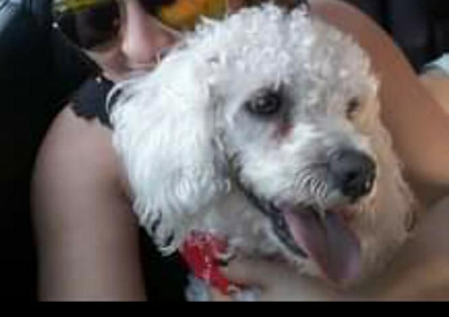 Tobby