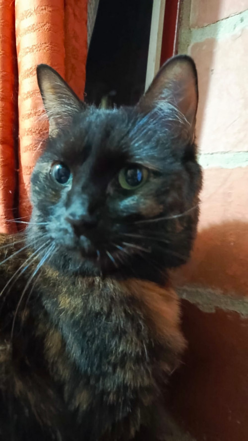 Lu
