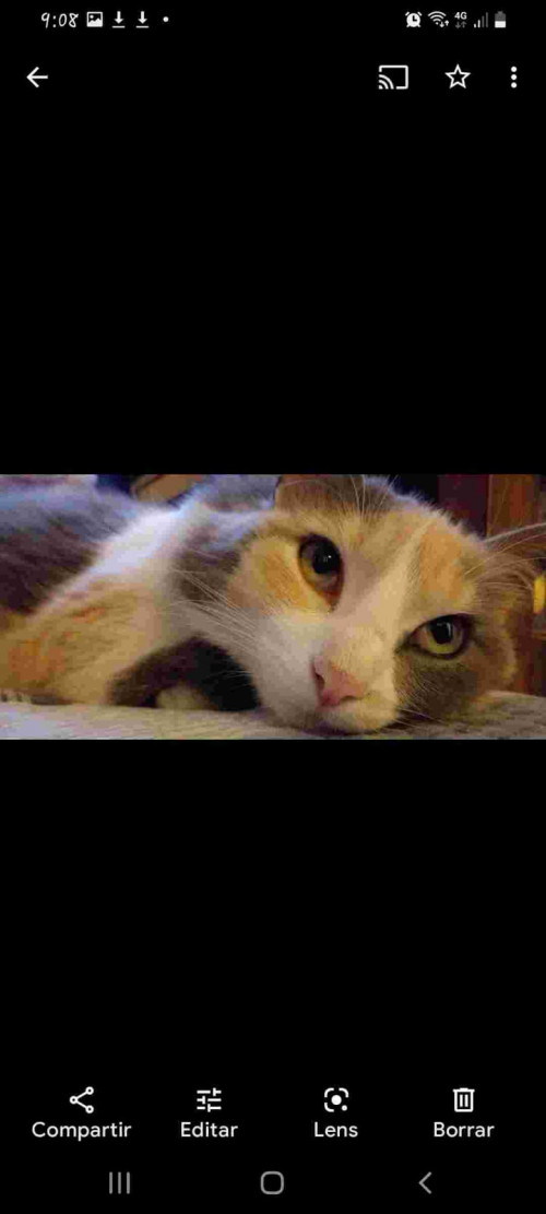 Mona (tini)